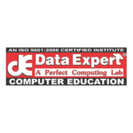 dataexpertindia.com